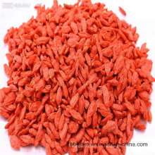 Bayas orgánicas de Goji - Ning Xia, China